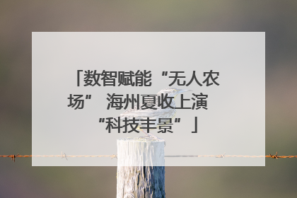 数智赋能“无人农场” 海州夏收上演“科技丰景”