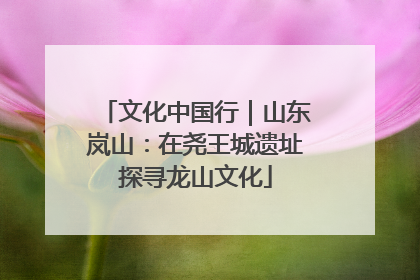 文化中国行｜山东岚山：在尧王城遗址探寻龙山文化