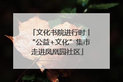 文化书院进行时丨“公益+文化”集市走进凤凰园社区
