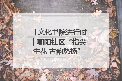 文化书院进行时|朝阳社区“指尖生花 古韵悠扬”公益课堂开课了
