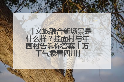 文旅融合新场景是什么样？挂面村与年画村告诉你答案丨万千气象看四川