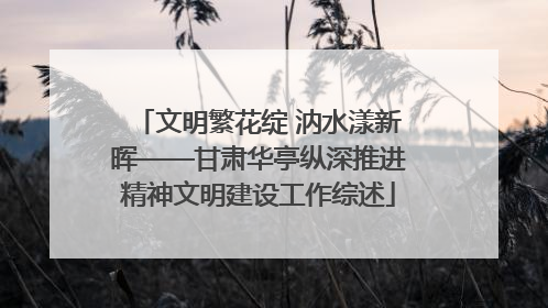 文明繁花绽 汭水漾新晖——甘肃华亭纵深推进精神文明建设工作综述