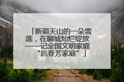 新疆天山的一朵雪莲，在聊城灿烂绽放——记全国文明家庭“詹春芳家庭”
