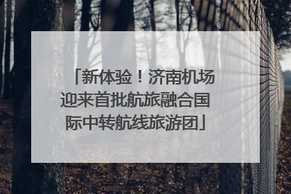 新体验！济南机场迎来首批航旅融合国际中转航线旅游团
