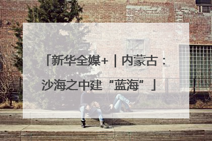 新华全媒+｜内蒙古：沙海之中建“蓝海”