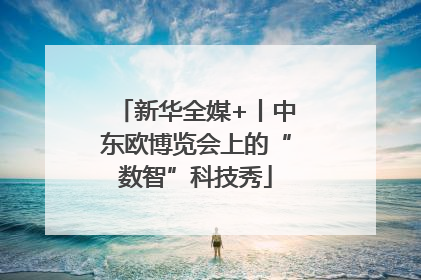 新华全媒+丨中东欧博览会上的“数智”科技秀