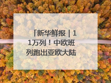 新华鲜报｜11万列！中欧班列跑出亚欧大陆“新时速”