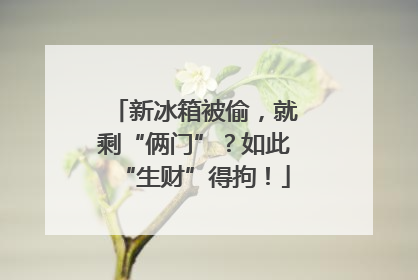新冰箱被偷，就剩“俩门”？如此“生财”得拘！