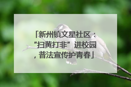 新州镇文星社区：“扫黄打非”进校园，普法宣传护青春