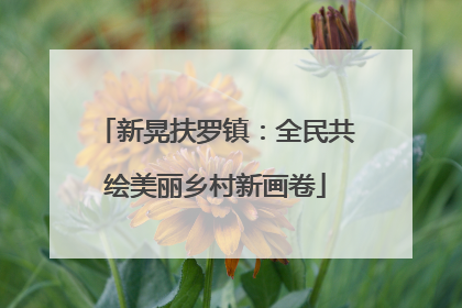 新晃扶罗镇：全民共绘美丽乡村新画卷