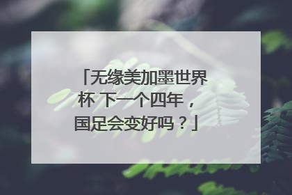 无缘美加墨世界杯 下一个四年，国足会变好吗？