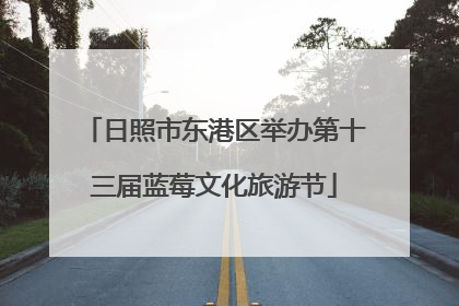 日照市东港区举办第十三届蓝莓文化旅游节