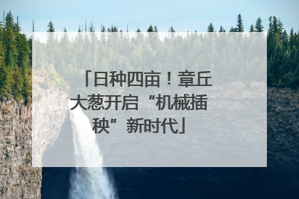 日种四亩！章丘大葱开启“机械插秧”新时代