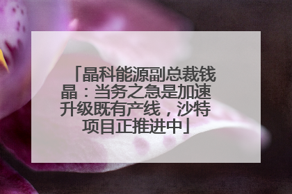 晶科能源副总裁钱晶：当务之急是加速升级既有产线，沙特项目正推进中