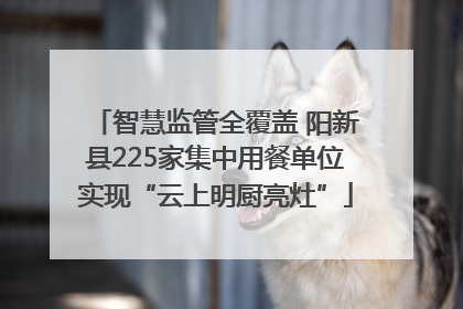 智慧监管全覆盖 阳新县225家集中用餐单位实现“云上明厨亮灶”
