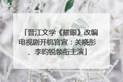 晋江文学《耀眼》改编电视剧开机官宣：关晓彤、李昀锐领衔主演