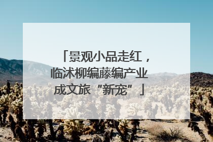 景观小品走红，临沭柳编藤编产业成文旅“新宠”