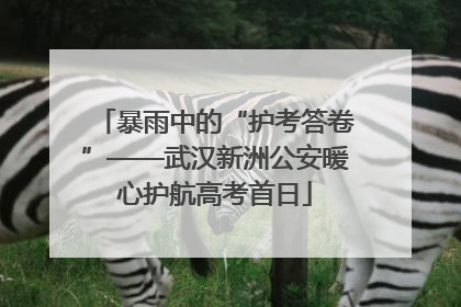暴雨中的“护考答卷”——武汉新洲公安暖心护航高考首日