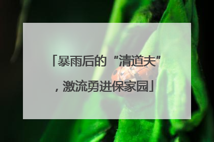 暴雨后的“清道夫”，激流勇进保家园