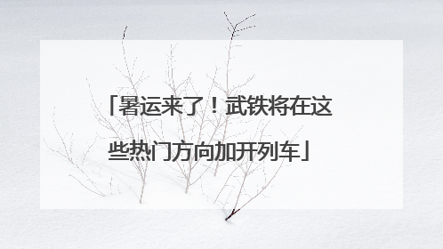 暑运来了！武铁将在这些热门方向加开列车