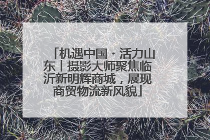 机遇中国・活力山东丨摄影大师聚焦临沂新明辉商城，展现商贸物流新风貌