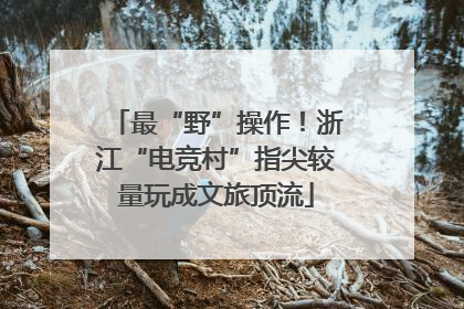最“野”操作！浙江“电竞村”指尖较量玩成文旅顶流