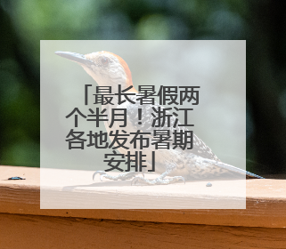 最长暑假两个半月！浙江各地发布暑期安排