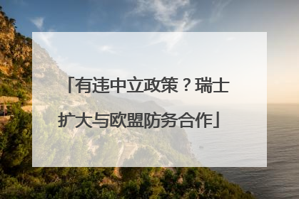 有违中立政策？瑞士扩大与欧盟防务合作