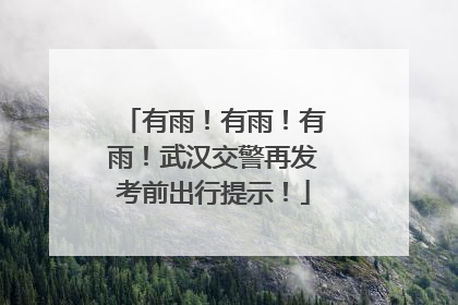 有雨！有雨！有雨！武汉交警再发考前出行提示！