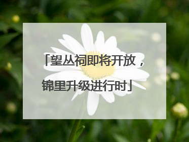 望丛祠即将开放，锦里升级进行时