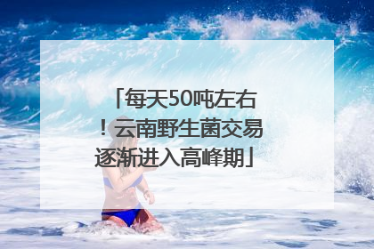 每天50吨左右！云南野生菌交易逐渐进入高峰期