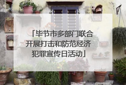 毕节市多部门联合开展打击和防范经济犯罪宣传日活动
