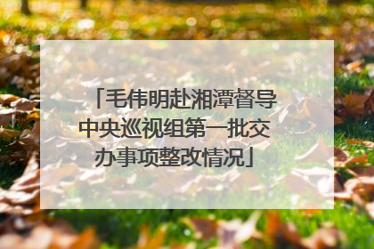 毛伟明赴湘潭督导中央巡视组第一批交办事项整改情况