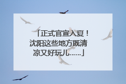 正式官宣入夏！沈阳这些地方既清凉又好玩儿……