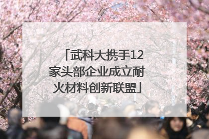 武科大携手12家头部企业成立耐火材料创新联盟