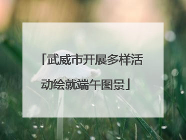 武威市开展多样活动绘就端午图景