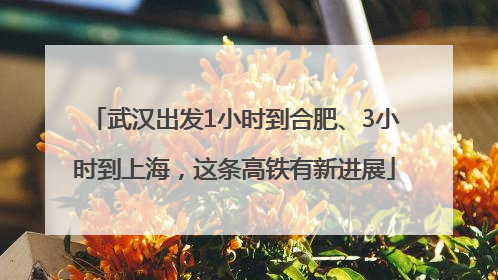 武汉出发1小时到合肥、3小时到上海，这条高铁有新进展