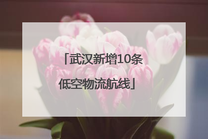 武汉新增10条低空物流航线