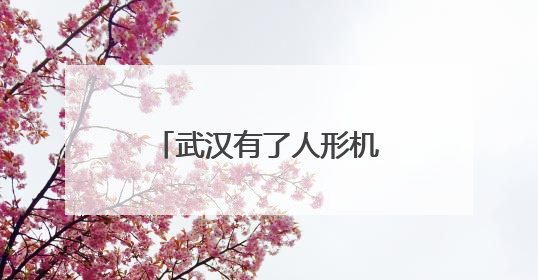 武汉有了人形机器人“学校”，“人形机器人进家庭，这是第一步”