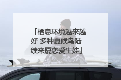 栖息环境越来越好 多种夏候鸟陆续来厦恋爱生娃