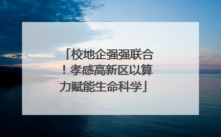 校地企强强联合！孝感高新区以算力赋能生命科学