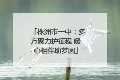 株洲市一中：多方聚力护征程 暖心相伴助梦圆