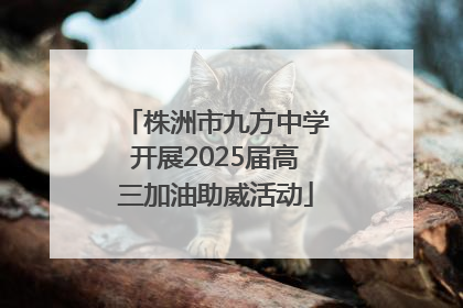株洲市九方中学开展2025届高三加油助威活动