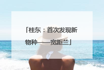 桂东：首次发现新物种——宽距兰