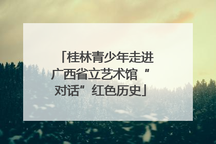桂林青少年走进广西省立艺术馆“对话”红色历史