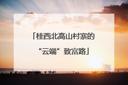 桂西北高山村寨的“云端”致富路