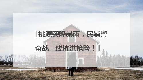 桃源突降暴雨，民辅警奋战一线抗洪抢险！