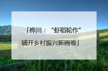 桦川：“虾稻轮作”铺开乡村振兴新画卷