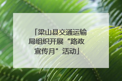 梁山县交通运输局组织开展“路政宣传月”活动
