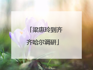 梁惠玲到齐齐哈尔调研